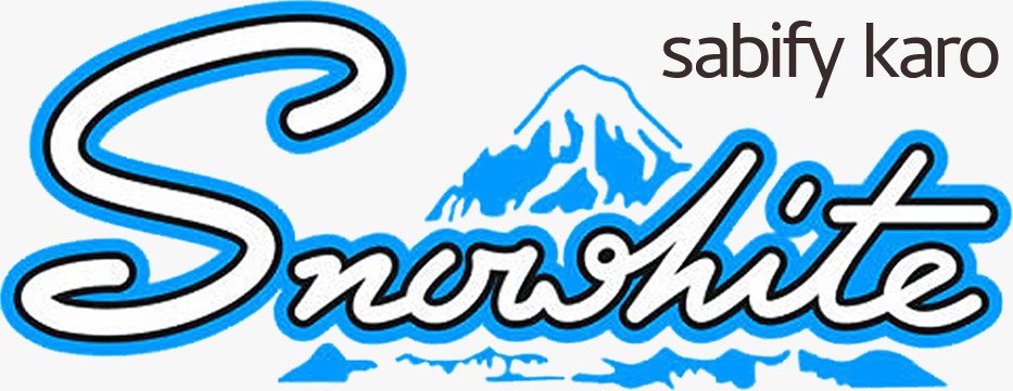 Snowhite Solution Pvt Ltd logo